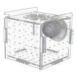 Caja Para De Peces, Accesorio Para Acuario, Caja 8cmx8cmx8cm