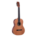 Violão Rozini Rx230 Ac.f.cd Custom Acústico