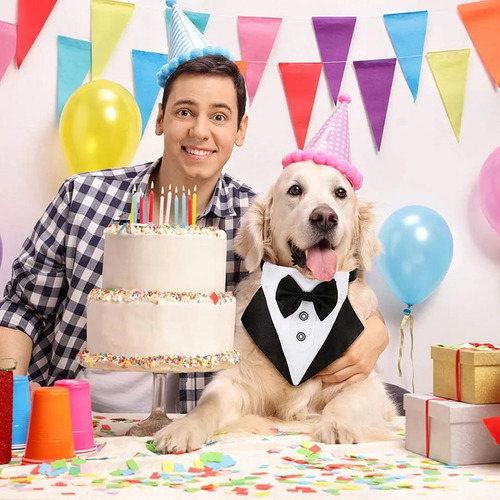 Traje Para Mascotas Elegante Collar Con Moño