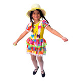 Vestido Caipira Infantil Menina Luxo Babado Bordado Colorido