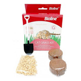 Kit Completo Pasto Para Gatos, Hierba Gatera Bioline - Ar