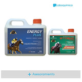 Energy Plus X 5 Lts. Energía Proteína + Stobac Tónico 1 L