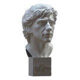 Action Figure Personalidades Stl Busto Ayrton Senna