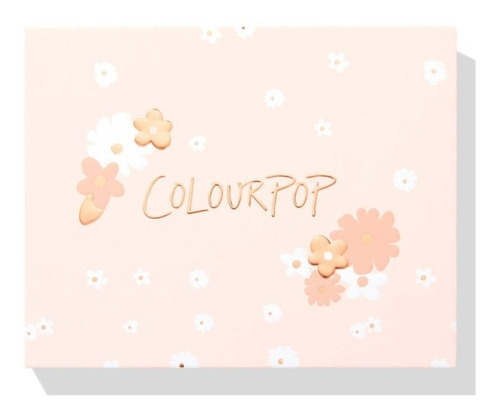 Paleta Vacía Magnética Flower Por Colourpop