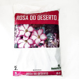 Terra Especial Para Rosa Do Deserto 2kg 
