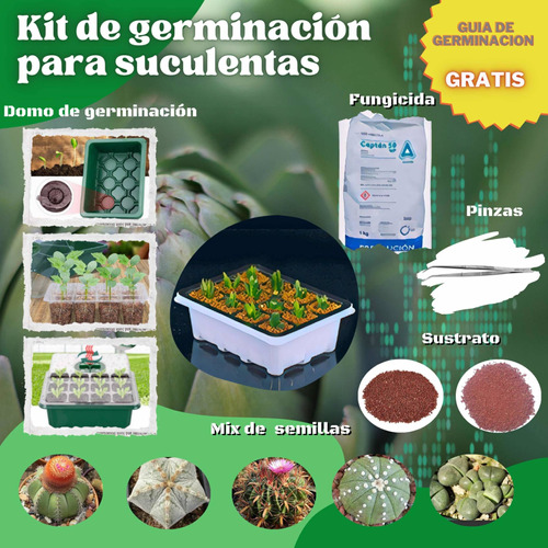 Kit De Germinación, Semillas De Cactus Y Suculentas. 