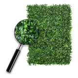 Follaje Artificial Sintetico Muro Verde 15pzas 60 X 40 Cm Arrayan Decoración De Bardas Y Paredes Cubre 3.6m2