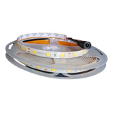 Tira Led 5050 Ip65 Exterior 12v Rollo 10 Mts Color A Escoger