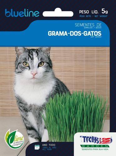  Grama Dos Gatos A Verdadeira 4500 Sementes Para Plantio +nf