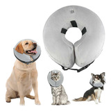Collar Isabelino Inflable Protector Anti Mordida  Perros Gatos Collar Mascotas Talla L