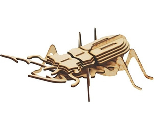 Escarabajo Insecto Puzzle 3d Rompecabezas Madera Laser Caja
