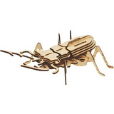 Escarabajo Insecto Puzzle 3d Rompecabezas Madera Laser Caja