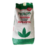 Semilla De Cesped Rye Grass Perenne Augusta 25 Kg Picasso 