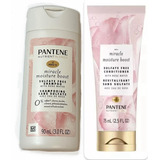 Pantene Nutrient Blends Shampoo & Conditioner Travel Size 