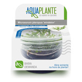 Planta Aquaplante Microsorum Pteropus Windelov