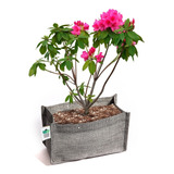 Vaso De Plantas Pc Grow Tela 3 Litros Horta King Pot