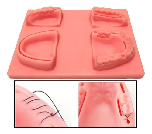 Práctica De Entrenamiento Con Modelos De Sutura De Encías Or