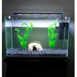 Acuario Lámpara Led Decoracion