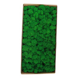 Widget Para Pared Interior Para Fiestas, Conservada Naturalm