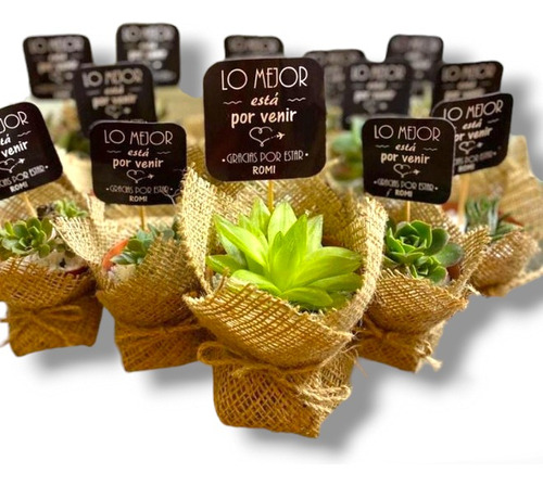 30 Mini Cactus Suculentas Con Arpilllera Y Cartel, Isiflor