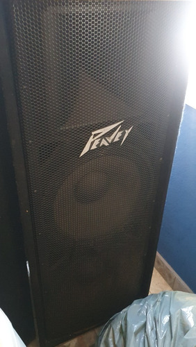 Peavey Pv 215 