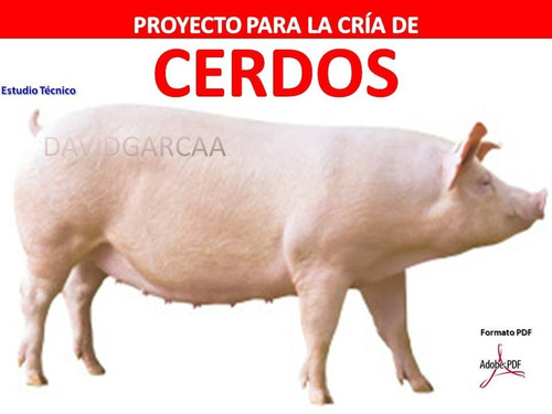 Proyecto Cría Y Engorde De Cochinos Y Cerdos