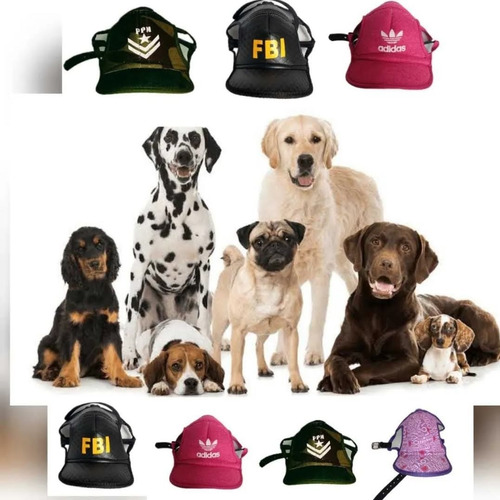 Gorras Para Perro 20 Pzas Mayoreo Talla (0 A La 9)