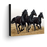 Cuadro 70x50 Cms Decorativo Caballo 6