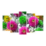 Cuadros Decorativos    Modernos    Flores De Colores