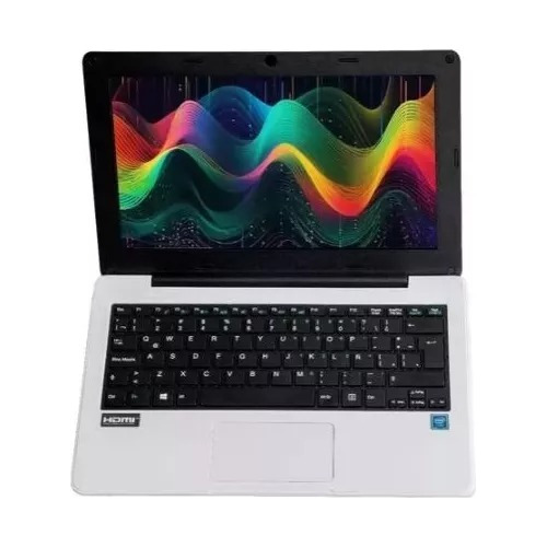 Netbook 11.6 Noblex Celeron N4020 8gb Ssd 480 Sf20gm7 