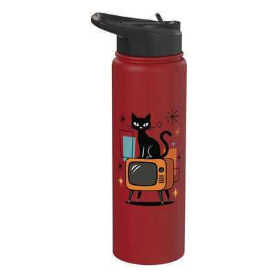 Conjunto Decorativo: Gato Retro, Tv Vintage Y Botella