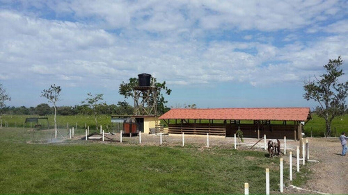 Vendo Finca Jurisdiccion En Cumaral Villavicencio - Imagen 2