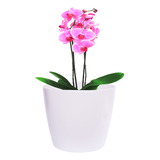 Vaso De Plantas Artificial Decorativo Branco Pequeno 30x25cm