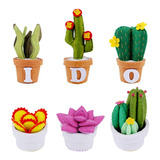 Mini De Material De Plantas Suculentas De Fieltro Diy 3d