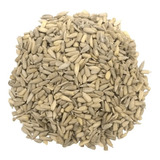 Girassol Sem Casca (pepita) 250g-  Crua Sem Sal Premium