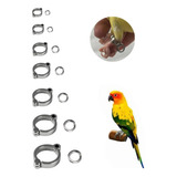 Anillo Para Pata De Periquito Loro Cotorro Guacamaya