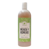 Tónico Facial De Romero Y Menta Piel Grasa (1 Litro)