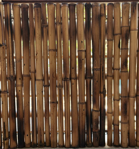 Cerco De Caña Tacuara Bambu Flameado - Quemado