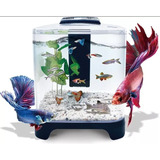 Acuario Mini De 6 Litros Pecera Betta Bettera