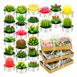 48 Velas De Cactus Suculentas, Velas Decorativas Con Forma .