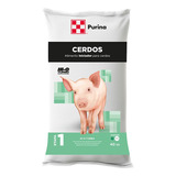 Cerdo Puerco Iniciador Alimento De Excelente Calidad 40 Kg 