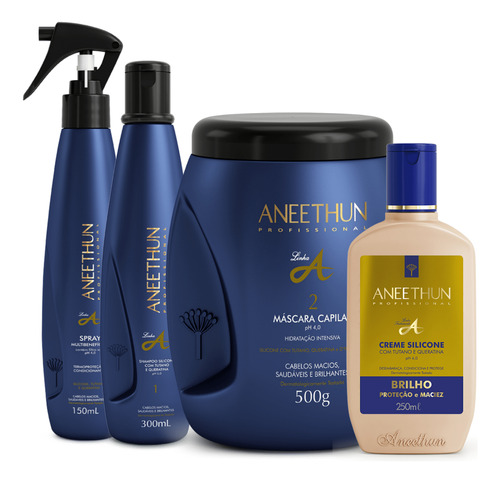 Kit Completo Aneethun Linha A 4 Produtos De Cabelo