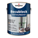 Recublock Antihumedad X1l