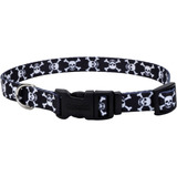 Coastal Collar Style Grande Black Skulls