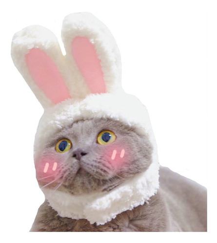 Disfraz Para Gato Sombrero Orejas De Conejo