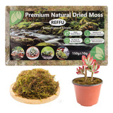 Reffu Musgo Esfagnum Natural, Musgo De Bosque Seco De Primer