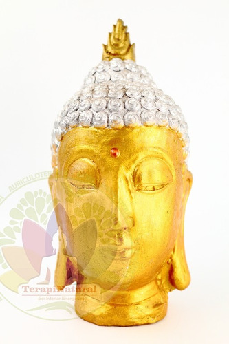 Figura Buda Espiritual Natural Animal || Decoración Hogar