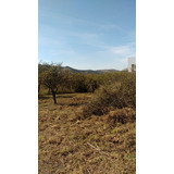 Lote Tierra Alta Macrolote 1