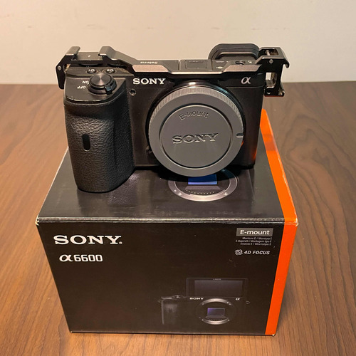 Sony A6600