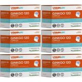 Ginkgo 120 Complex 60 Capsulas X6 Unidades Vitamin Way